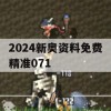 2024新奥资料免费精准071,实地研究解释落实_动态版9.471