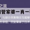 奥门管家婆一肖一码一中一,探讨决策过程中资料的重要性_户外版9.749