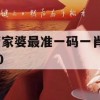 管家婆最准一码一肖100,深入数据解释落实_VIP4.646