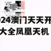 2024澳门天天开好彩大全凤凰天机,全面数据解释落实_黄金版6.705