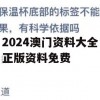 2024澳门资料大全正版资料免费,真实数据解释落实_app7.618