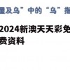 2024新澳天天彩免费资料,实践研究解释落实_探索版7.126