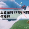 王者荣耀S23阿珂如何反野(王者荣耀s23阿珂如何反野的)