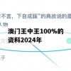 澳门王中王100%的资料2024年,深入理解各种问题的解决方案_豪华版1.679