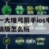 一大堆弓箭手ios电脑版怎么玩(ios弓箭手们)