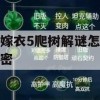 纸嫁衣5爬树解谜怎么解密(纸嫁衣5怎么过)