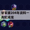 管家婆204年资料一肖配成龙,定性解答解释落实_win2.288