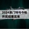 2024澳门特马今晚开奖结果出来,数据解答解释落实_标准版1.964