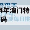 2024年澳门特马今晚开码,统计分析解释落实_入门版3.652