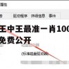 王中王最准一肖100免费公开,全面解答解释落实_免费版4.99