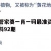 管家婆一肖一码最准资料92期,深入分析科技相关成语的内涵_静态版9.165