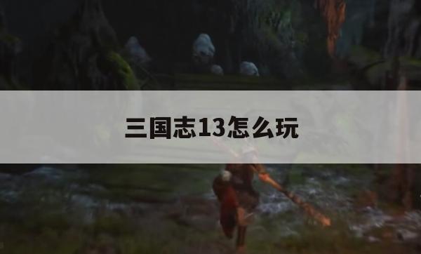 三国志13怎么玩(三国志13怎么玩商人)