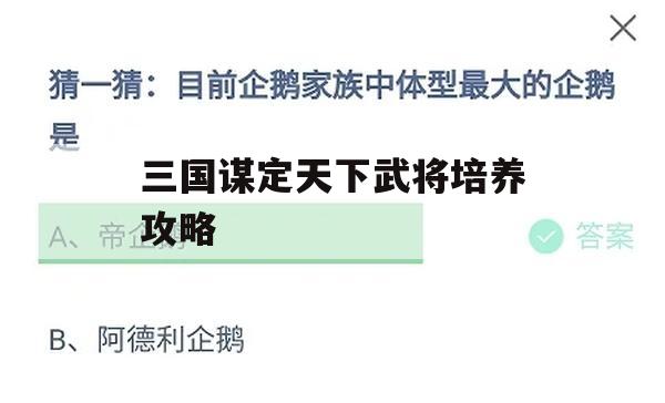 三国谋定天下武将培养攻略(三国谋定天下武将培养攻略大全)