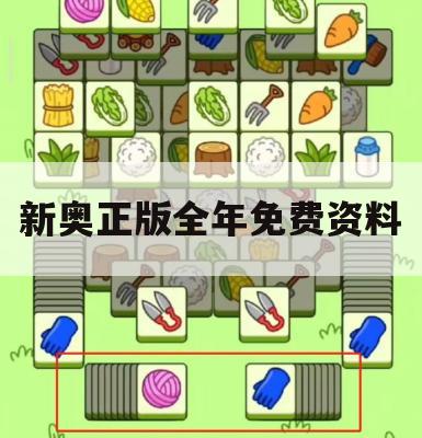 新奥正版全年免费资料,保障成语理解的准确性_V0.476