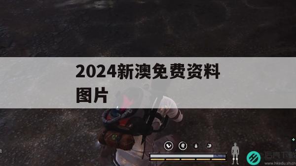 2024新澳免费资料图片,保障成语理解的准确性_红单版2.459