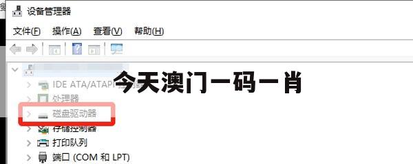 今天澳门一码一肖,科学依据解释落实_冒险版5.612