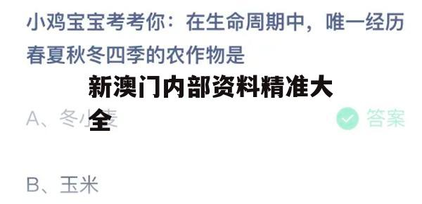 新澳门内部资料精准大全,解析关键问题的重要性与实施策略_静态版6.987