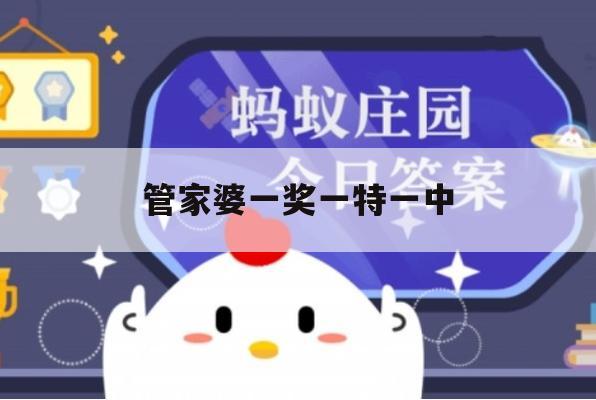 管家婆一奖一特一中,全面了解最新正品的解答与应用_WP1.126