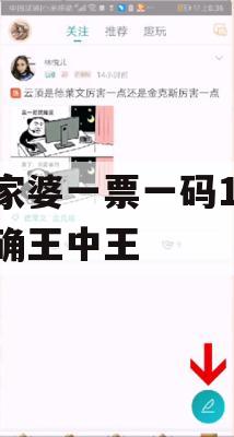 管家婆一票一码100正确王中王,综合分析解释落实_未来版1.836