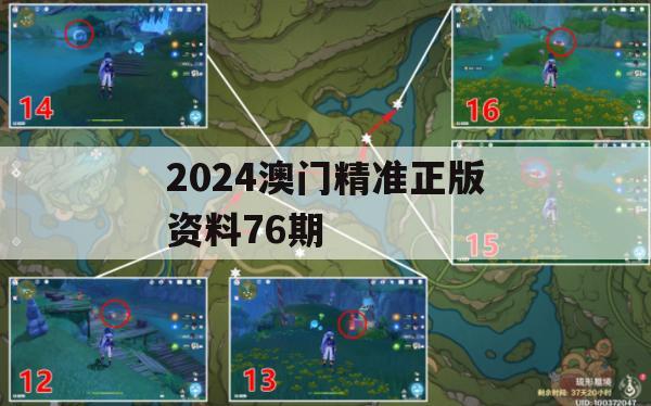 2024澳门精准正版资料76期,科学解答解释落实_交互版1.177