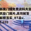 新奥门特免费资料大全凯旋门图片,高效解答解释落实_BT品v.6.659