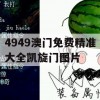 4949澳门免费精准大全凯旋门图片,深入分析科技相关成语的内涵_app2.860