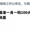 最准一肖一码100火凤凰,科学数据解释落实_精简版1.963