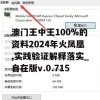 澳门王中王100%的资料2024年火凤凰,实践验证解释落实_自在版v.0.715