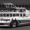 新奥门资料大全正版资料2024凯旋门图片,深度解答解释落实_zShopv.8.313