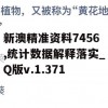 新澳精准资料7456,统计数据解释落实_Q版v.1.371