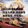 2024新澳免费资科大全火凤凰,现状解答解释落实_手机版v.0.229