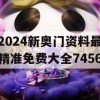 2024新奥门资料最精准免费大全7456,详细解读解释落实_黄金版9.898