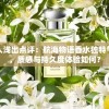 早安我的少年"全新无冷却时间无限票版重磅来袭：青春治愈力量即刻解锁，你准备好追剧了吗？