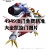 4949澳门免费精准大全凯旋门图片,综合数据解释落实_动态版2.82