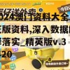 2024澳门资料大全正版资料,深入数据解释落实_精英版v.3.420