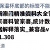 新澳门精准资料大全管家婆料管家婆,统计数据解释落实_兼容品v.1.308