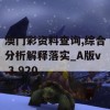 澳门彩资料查询,综合分析解释落实_A版v.3.920