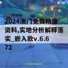 2024澳门免费精准资料,实地分析解释落实_嵌入款v.6.672