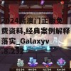 2024新澳门正版免费资料,经典案例解释落实_Galaxyv.8.232