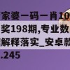 管家婆一码一肖100中奖198期,专业数据解释落实_安卓款v.3.245