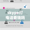 skype打电话要钱吗(用skype for business打电话需要付费吗)