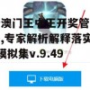 新澳门王中王开奖管家婆,专家解析解释落实_模拟集v.9.497