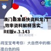 澳门最准最快资料龙门,效率资料解释落实_RE版v.3.143