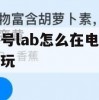 代号lab怎么在电脑上玩(代号lab怎么在电脑上玩的)