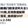 新澳门精准资料大全198期,实地数据解释落实_精简版SVIPv.2.542