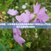 探寻自我与情感：以花争艳与山含情为视角阐述《花亦山心之月是乙女吗》中的乙女象征意识研究