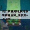 澳门精准资料,实地调研解释落实_领航集v.0.324