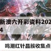 新澳六开彩资料2024,热点问题的深入讨论与解答_The8.741