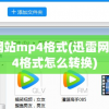 迅雷网站mp4格式(迅雷网站mp4格式怎么转换)