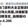 澳门资料大全正版资料查询火凤凰,详细解答解释落实_极限版IOSv.6.206